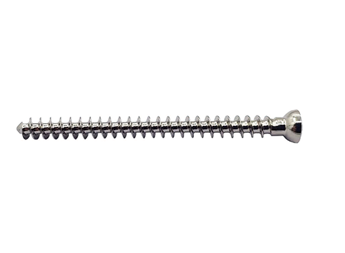 Cancellous Screw