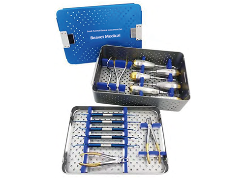 Smal Animal and Rodent Animals Dental Instruments